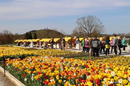 Festival zelišč (28)